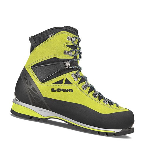 Bottes Randonnée Lowa Alpine Expert GTX Homme Noir | YKDQ43679