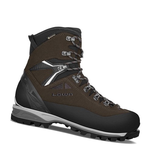 Bottes Randonnée Lowa Alpine Expert II GTX Homme Marron Foncé Noir | GIFV42317