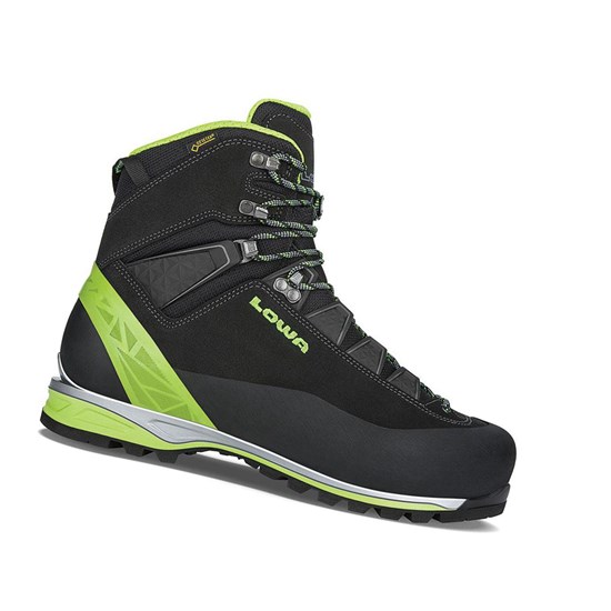 Bottes Randonnée Lowa Alpine Pro GTX LE Homme Noir | APJX34056
