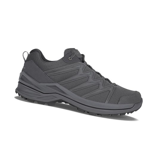 Chaussures de Marche Lowa Innox Pro GTX LO TF Homme Wolf | BPNJ30648