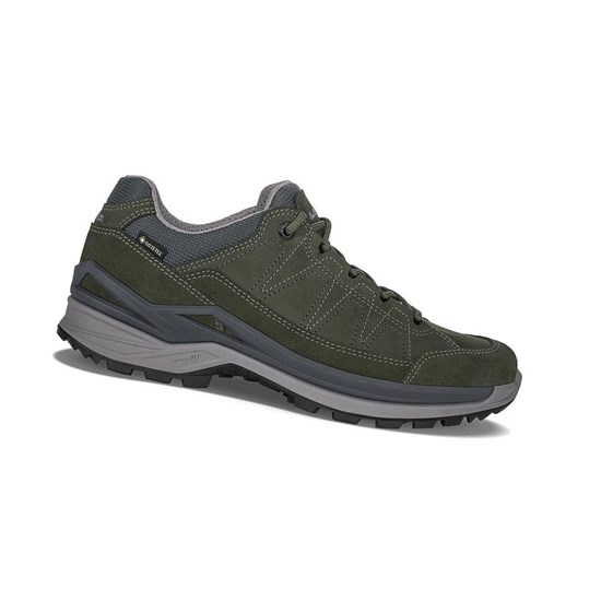 Chaussures de Marche Lowa Toro Evo GTX LO Homme Forest | QIEX37859